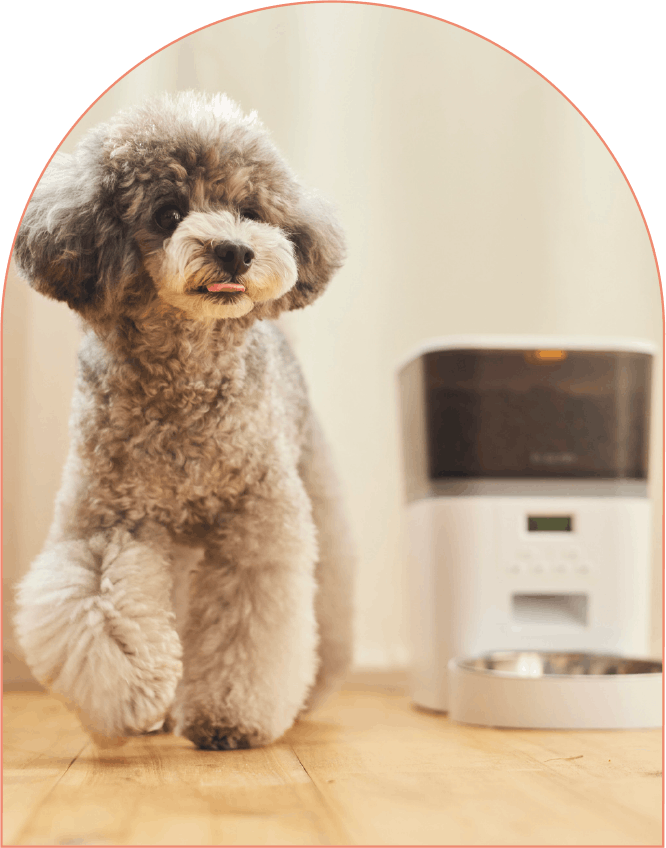 Pet HOME APPLIANCES - ペット家電 | エレコム株式会社