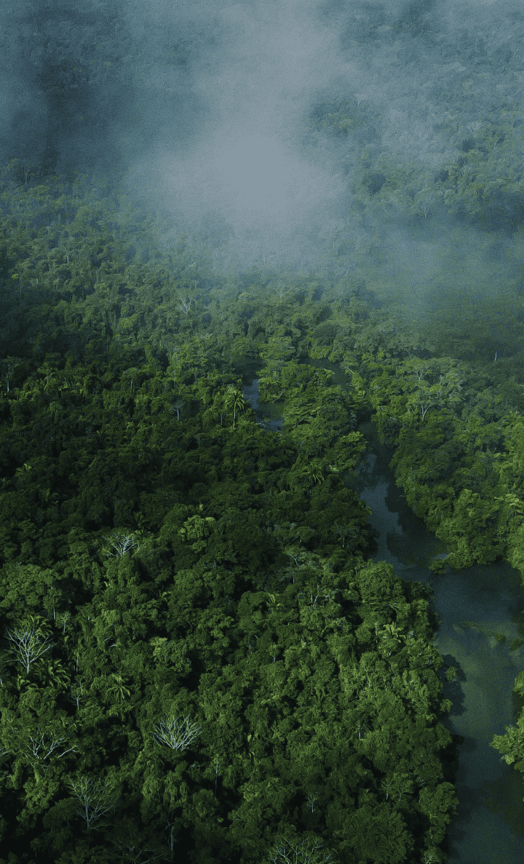 Environmentally friendly 環境にも、人にも思いやりを