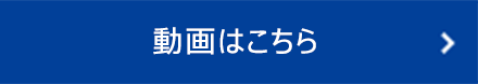 動画はこちら