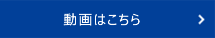 動画はこちら