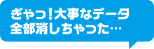 ぎゃっ！大事なデータ全部消しちゃった…