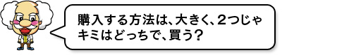購入する方法は、大きく2つじゃ キミはどっちで、買う?