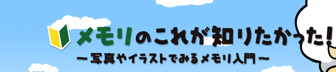 メモリのこれが知りたかった 写真やイラストでみるメモリ増設入門 Elecom