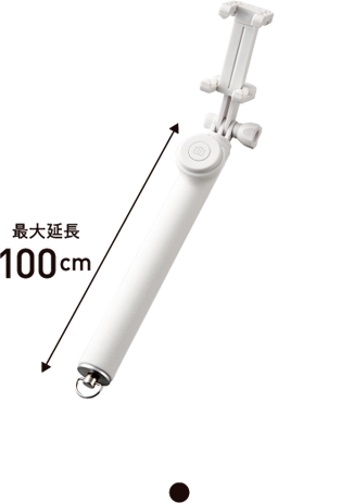 P-SSB01