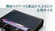 ʂ̃|PbgGقǂ̑^TCY