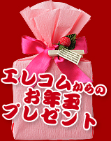 �G���R������̂��N�ʃv���[���g