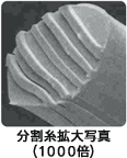 分割糸拡大写真(1000倍)