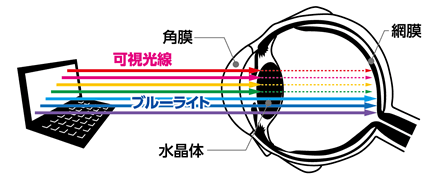 ブルーライトカット液晶保護フィルム（反射防止） - EF-FL116WBL