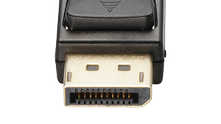 DisplayPort(TM)ケーブル - CAC-DP1220BK