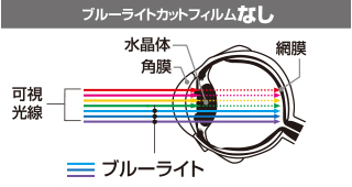 ブルーライトをカットし、画質が鮮やかに見える ブルーライトをカットし、画質が鮮やかに見える
