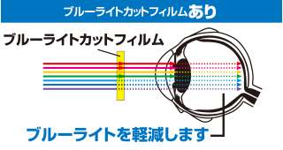 ブルーライトをカットし、画質が鮮やかに見える ブルーライトをカットし、画質が鮮やかに見える