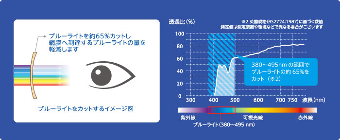 「ブルーライト」を約65％カット。380～495nmの範囲でブルーライトの約65％をカット