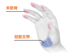 5点の末節骨に最適な形状・角度で設計