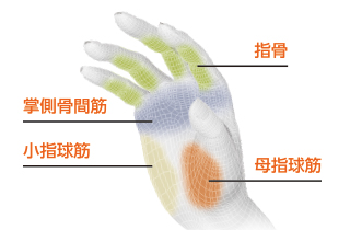 4点の骨格・筋肉にフィットするよう、最適な形状・角度で設計 4点の骨格・筋肉にフィットするよう、最適な形状・角度で設計