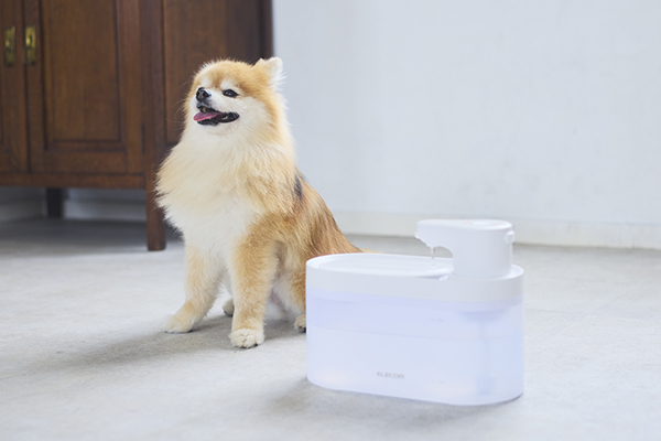 LabDiet モルモット用ペレット 15kg デグーにも ⭐︎送料込み⭐︎ Amazon | SBS モルモット デグー ラボダイエット フード (1.15kg