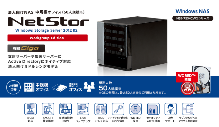 WSS2012R2std搭載4ベイRAID5ボックスNAS NSB-75S4CS2シリーズ
