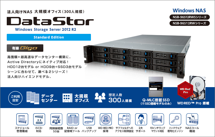 WSS2012R2std搭載4ベイRAID5ボックスNAS NSB-75S4CS2シリーズ