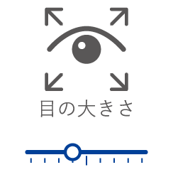 目の大きさ