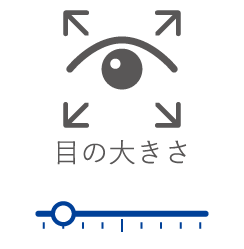 目の大きさ