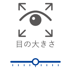 目の大きさ