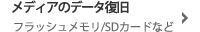 fBÃf[^@tbV/SDJ[hȂ
